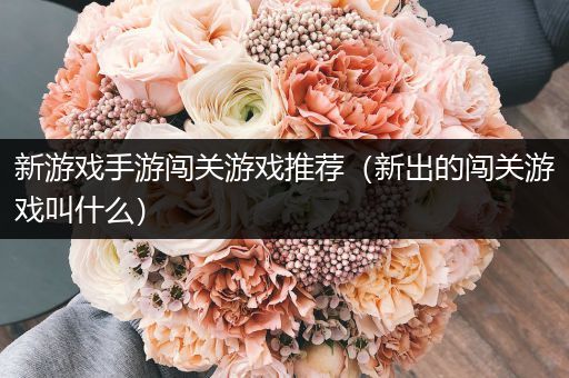 新游戏手游闯关游戏推荐（新出的闯关游戏叫什么）