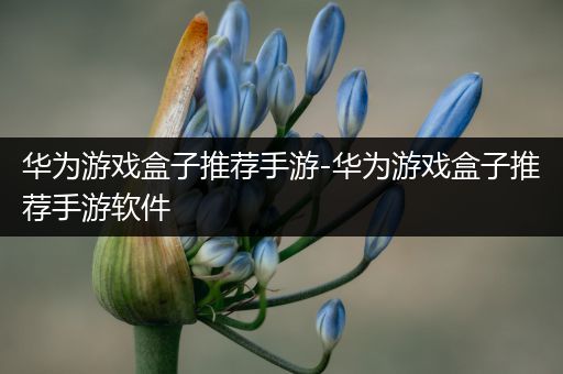 华为游戏盒子推荐手游-华为游戏盒子推荐手游软件