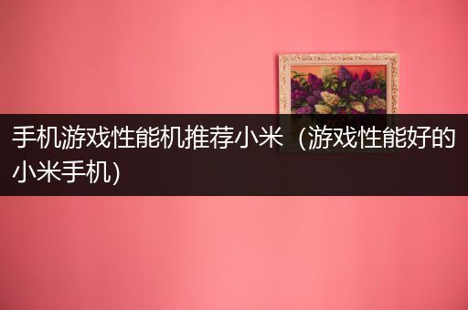 手机游戏性能机推荐小米（游戏性能好的小米手机）