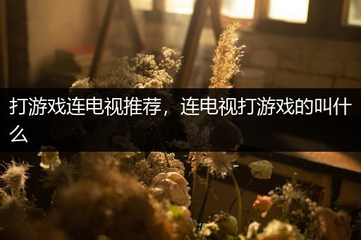 打游戏连电视推荐，连电视打游戏的叫什么