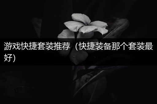 游戏快捷套装推荐（快捷装备那个套装最好）