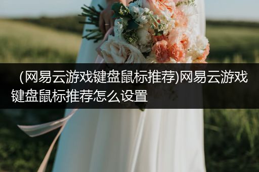 （网易云游戏键盘鼠标推荐)网易云游戏键盘鼠标推荐怎么设置