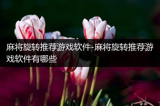 麻将旋转推荐游戏软件-麻将旋转推荐游戏软件有哪些