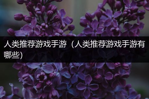 人类推荐游戏手游（人类推荐游戏手游有哪些）