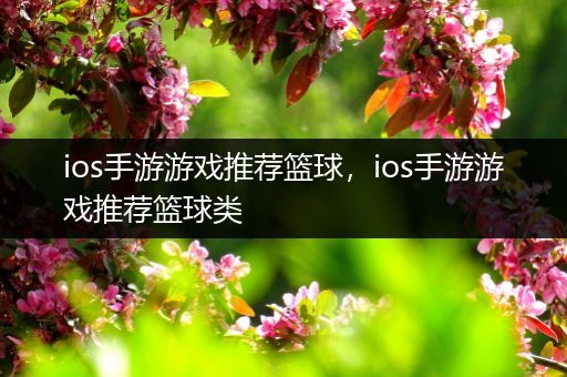 ios手游游戏推荐篮球，ios手游游戏推荐篮球类