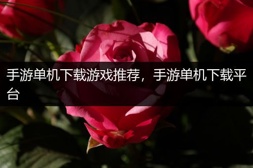 手游单机下载游戏推荐，手游单机下载平台