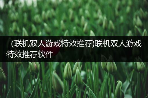 （联机双人游戏特效推荐)联机双人游戏特效推荐软件