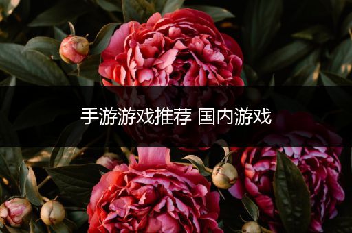 手游游戏推荐 国内游戏
