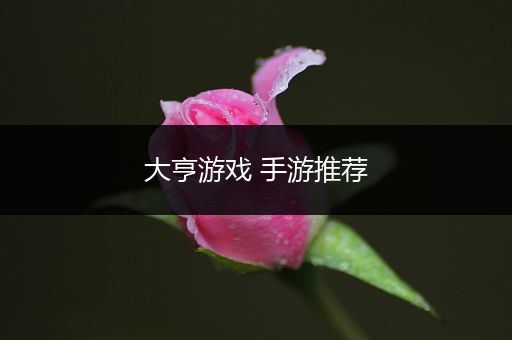 大亨游戏 手游推荐