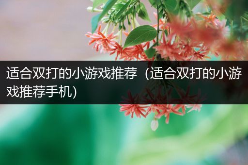 适合双打的小游戏推荐（适合双打的小游戏推荐手机）