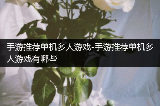 手游推荐单机多人游戏-手游推荐单机多人游戏有哪些