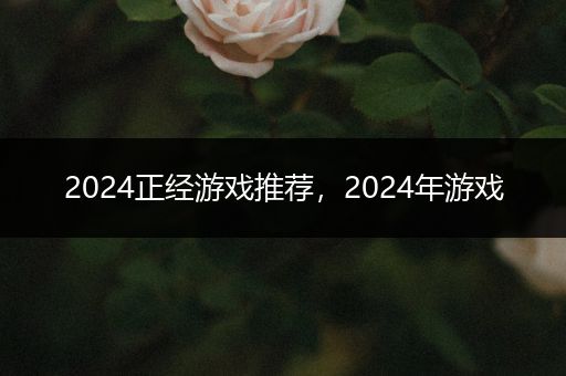 2024正经游戏推荐，2024年游戏