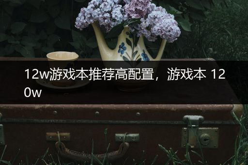 12w游戏本推荐高配置，游戏本 120w