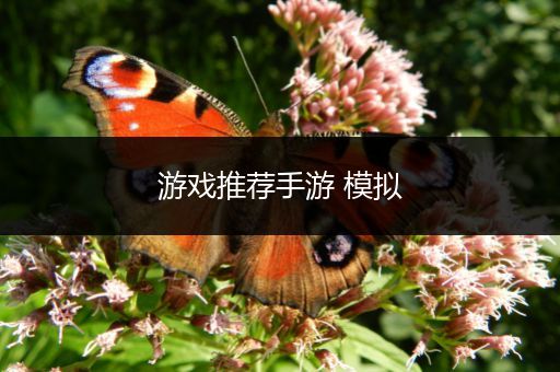 游戏推荐手游 模拟