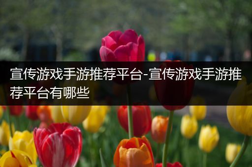 宣传游戏手游推荐平台-宣传游戏手游推荐平台有哪些