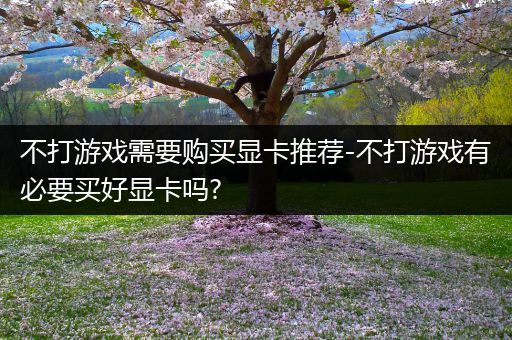 不打游戏需要购买显卡推荐-不打游戏有必要买好显卡吗?