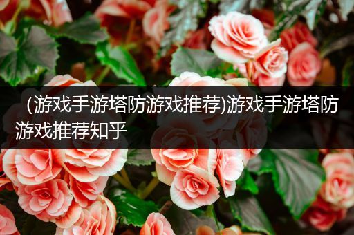 （游戏手游塔防游戏推荐)游戏手游塔防游戏推荐知乎