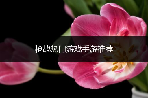 枪战热门游戏手游推荐