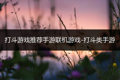 打斗游戏推荐手游联机游戏-打斗类手游