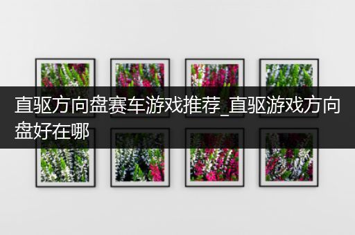 直驱方向盘赛车游戏推荐_直驱游戏方向盘好在哪