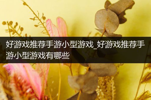 好游戏推荐手游小型游戏_好游戏推荐手游小型游戏有哪些