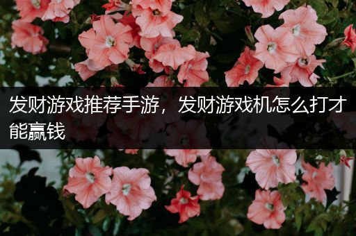 发财游戏推荐手游，发财游戏机怎么打才能赢钱