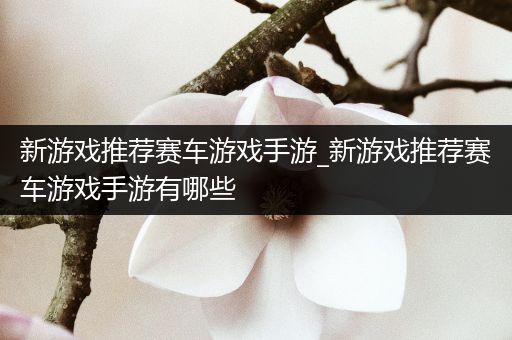 新游戏推荐赛车游戏手游_新游戏推荐赛车游戏手游有哪些