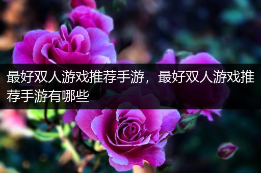 最好双人游戏推荐手游，最好双人游戏推荐手游有哪些
