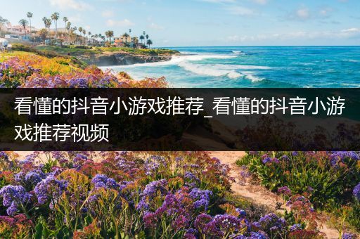 看懂的抖音小游戏推荐_看懂的抖音小游戏推荐视频