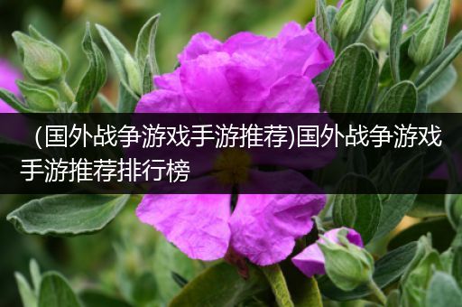 （国外战争游戏手游推荐)国外战争游戏手游推荐排行榜
