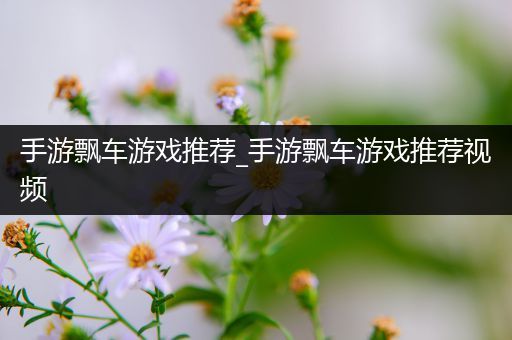 手游飘车游戏推荐_手游飘车游戏推荐视频
