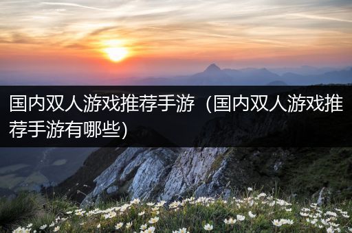 国内双人游戏推荐手游（国内双人游戏推荐手游有哪些）