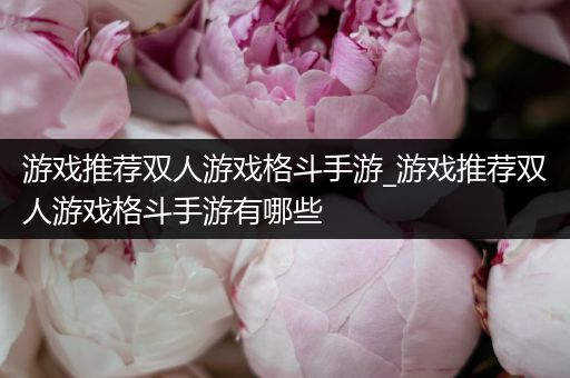 游戏推荐双人游戏格斗手游_游戏推荐双人游戏格斗手游有哪些