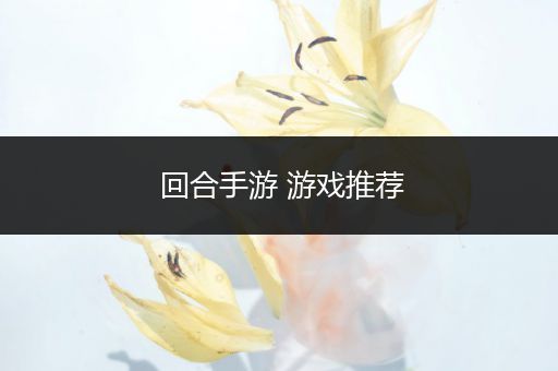 回合手游 游戏推荐