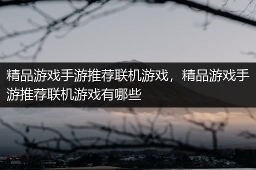 精品游戏手游推荐联机游戏，精品游戏手游推荐联机游戏有哪些