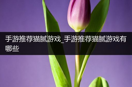 手游推荐猫腻游戏_手游推荐猫腻游戏有哪些
