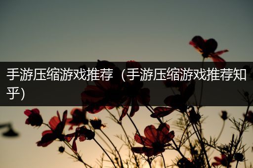 手游压缩游戏推荐（手游压缩游戏推荐知乎）