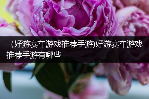 （好游赛车游戏推荐手游)好游赛车游戏推荐手游有哪些