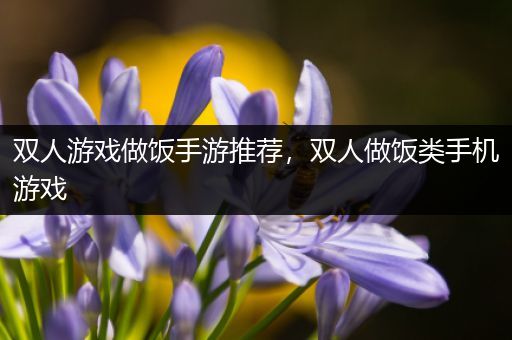 双人游戏做饭手游推荐，双人做饭类手机游戏