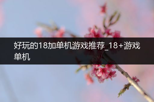 好玩的18加单机游戏推荐_18+游戏单机