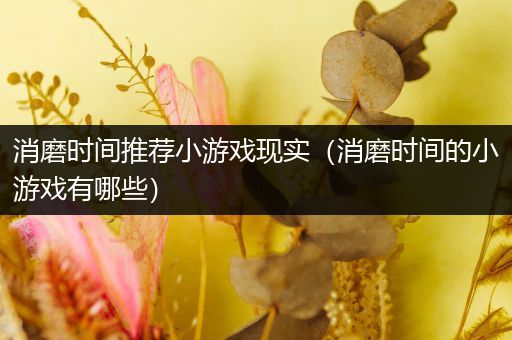 消磨时间推荐小游戏现实（消磨时间的小游戏有哪些）