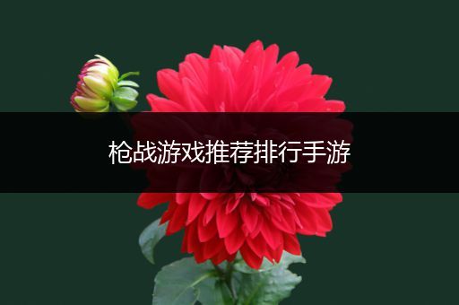 枪战游戏推荐排行手游
