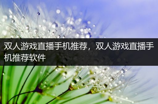 双人游戏直播手机推荐，双人游戏直播手机推荐软件