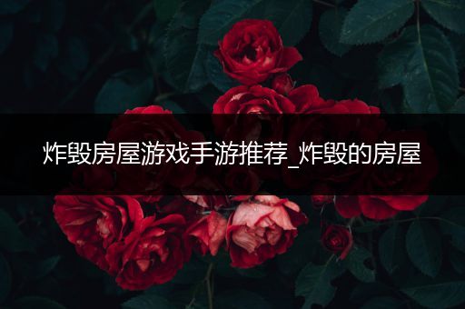 炸毁房屋游戏手游推荐_炸毁的房屋