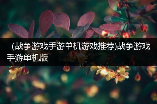 （战争游戏手游单机游戏推荐)战争游戏手游单机版