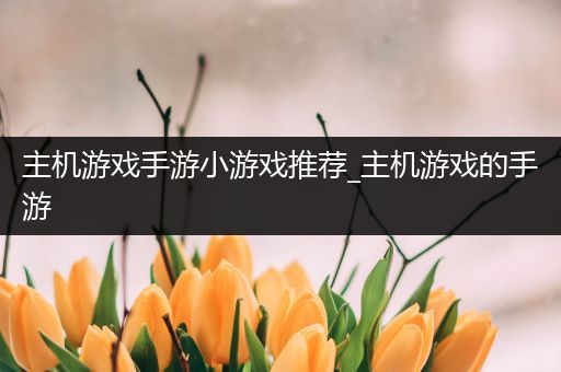 主机游戏手游小游戏推荐_主机游戏的手游