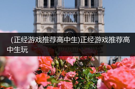 （正经游戏推荐高中生)正经游戏推荐高中生玩