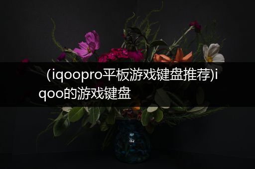 （iqoopro平板游戏键盘推荐)iqoo的游戏键盘