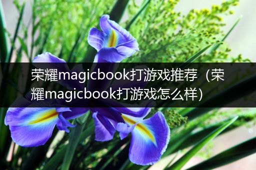 荣耀magicbook打游戏推荐（荣耀magicbook打游戏怎么样）