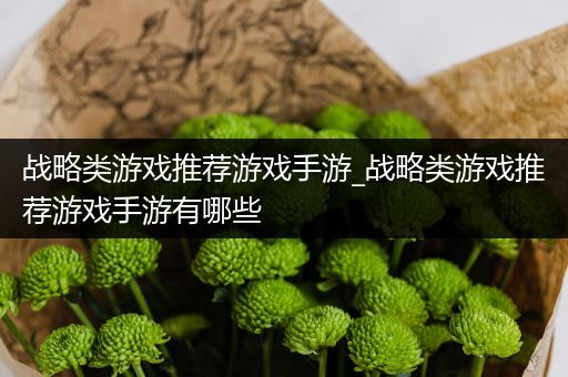 战略类游戏推荐游戏手游_战略类游戏推荐游戏手游有哪些